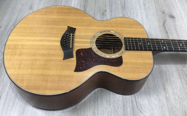 Taylor 555 amplificata EMG APA-2