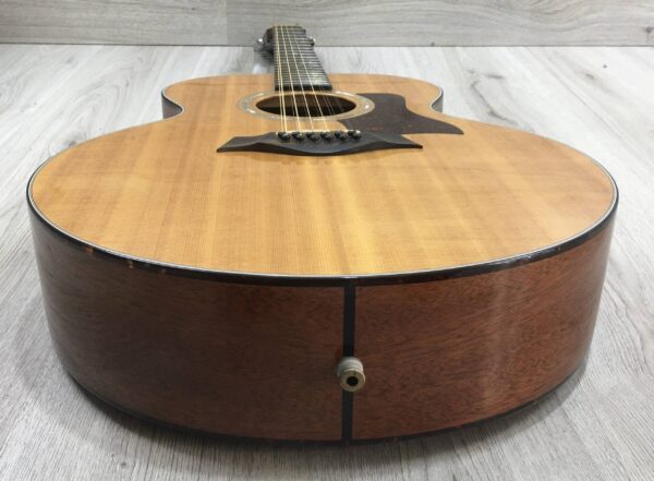 Taylor 555 amplificata EMG APA-2