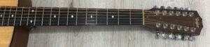 Taylor 555 amplificata EMG APA-2