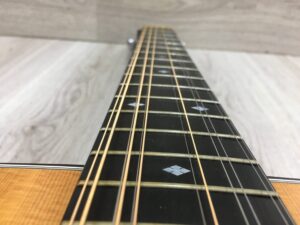 Taylor 555 amplificata EMG APA-2