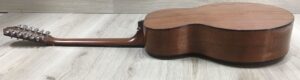 Taylor 555 amplificata EMG APA-2