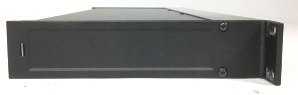 Tc Electronic D-Two Multitap Rythm Delay