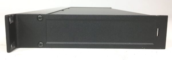 Tc Electronic D-Two Multitap Rythm Delay