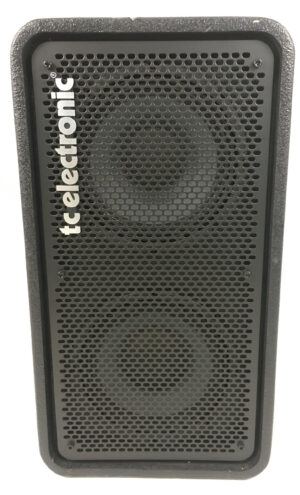 Tc Electronic RS210 400W con custodia