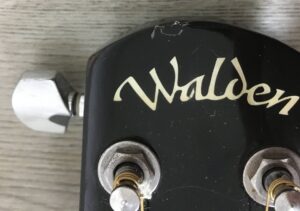 Walden CG570CEB