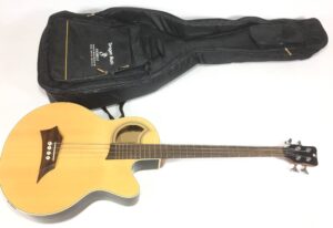 Warwick Rockbass Alien Standard con custodia morbida