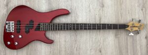 Washburn Bantam XB200