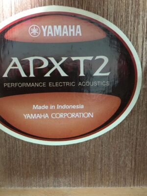 Yamaha APX T2 Black con custodia