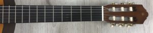 Yamaha C40
