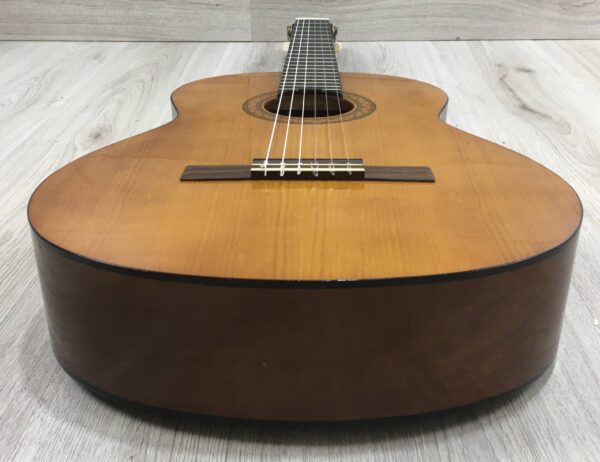 Yamaha C40