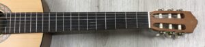 Yamaha C40 M