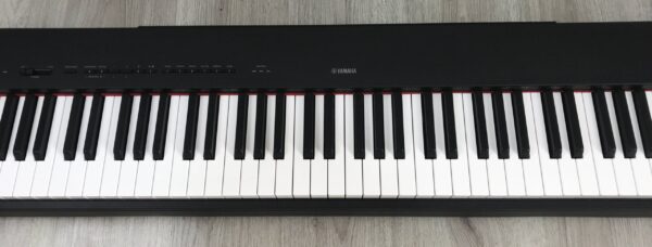 Yamaha P-225