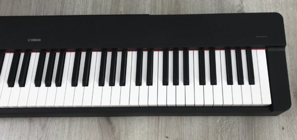 Yamaha P-225