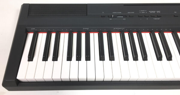 Yamaha P115 + L85 + Accessori