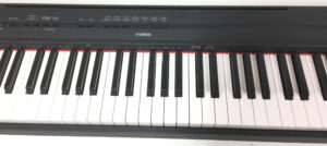 Yamaha P115 + L85 + Accessori