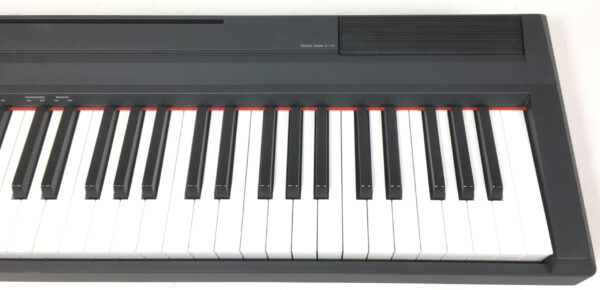 Yamaha P115 + L85 + Accessori
