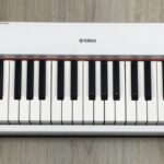 Yamaha Piaggero NP-32