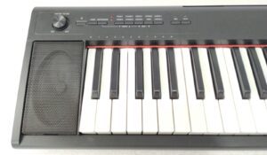 Yamaha Piaggero NP12B