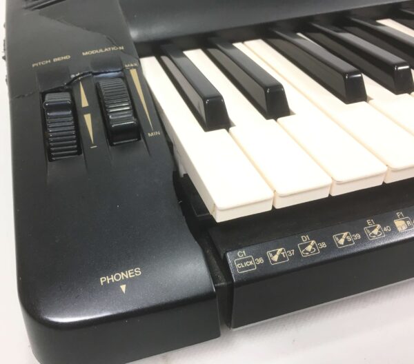 Yamaha PSR 730 con custodia e manuale