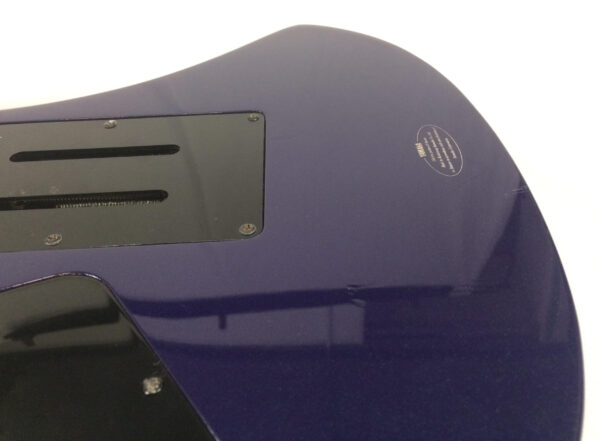 Yamaha RGX421DM con custodia rigida