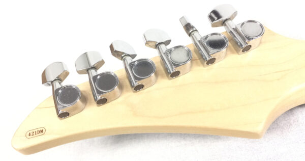 Yamaha RGX421DM con custodia rigida