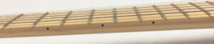 Yamaha RGX421DM con custodia rigida
