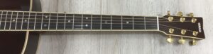 Yamaha Transacoustic LS-TA
