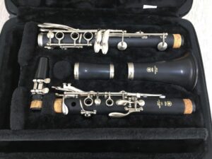 Yamaha YCL 255