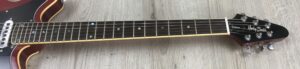 Harley Benton BM-75 + PU tipo Burns Trisonic